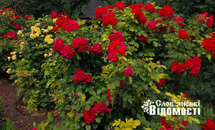 photo 2025 07 23 17 57 43 2