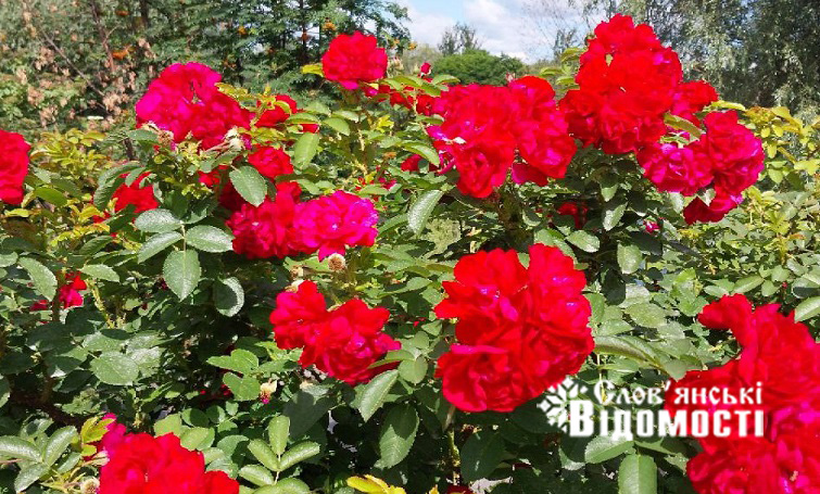 photo 2025 07 23 17 57 44