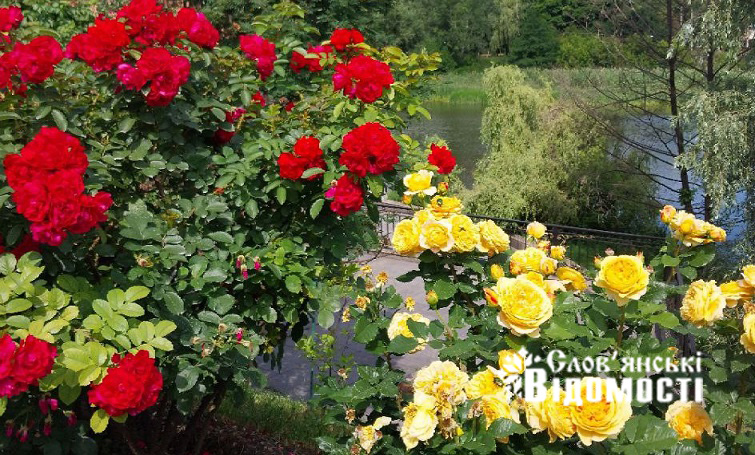 photo 2025 07 23 17 57 44 2