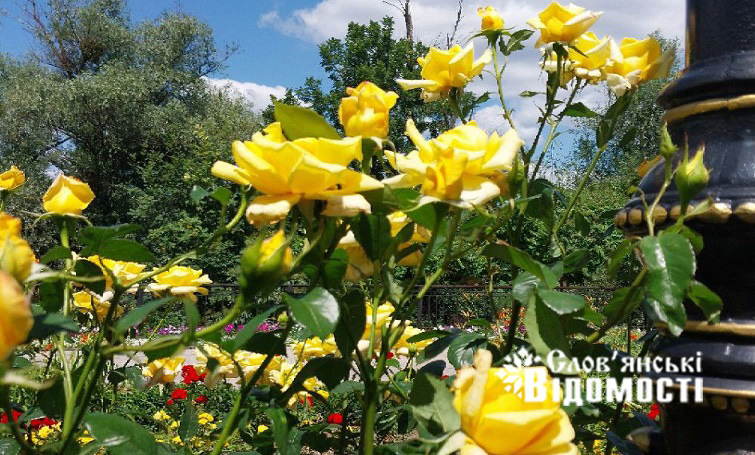 photo 2025 07 23 17 57 46 4