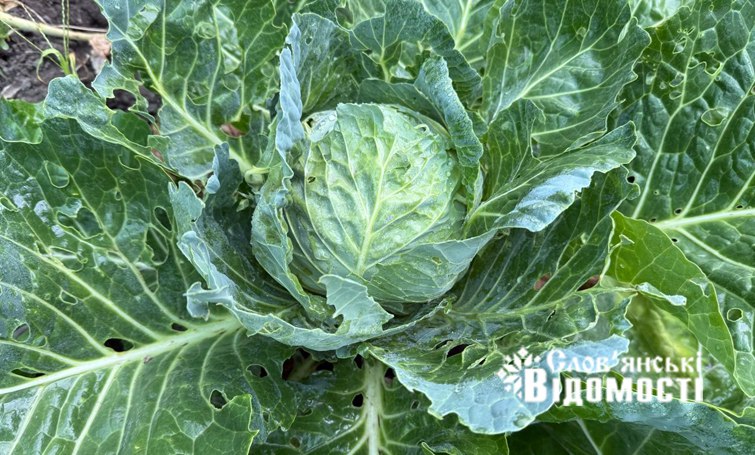 photo 2025 07 25 12 24 23 2