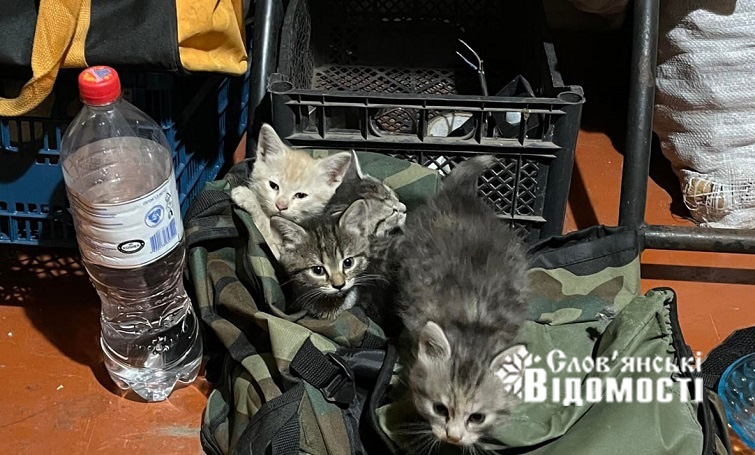 photo 2025 07 29 12 50 57