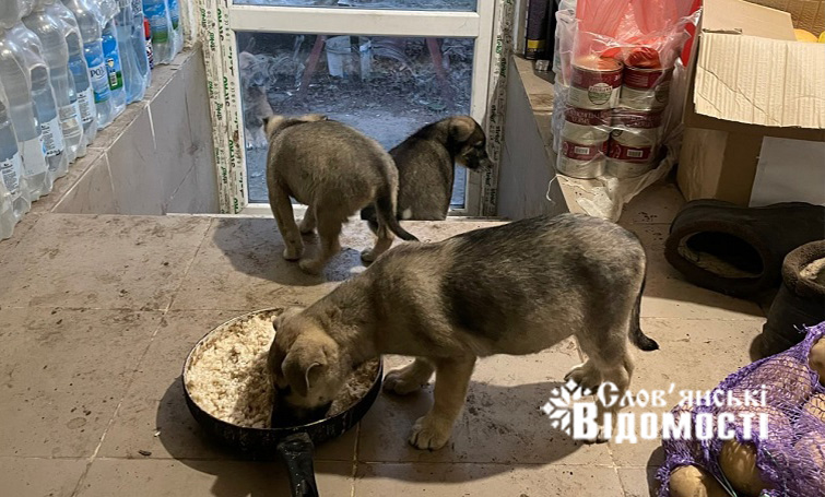 photo 2025 07 29 12 50 57 3