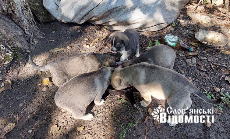 photo 2025 07 29 12 50 57 4