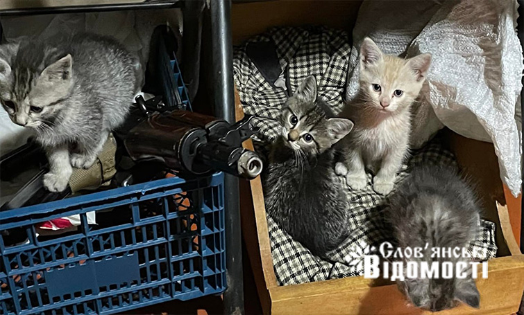 photo 2025 07 29 14 38 52