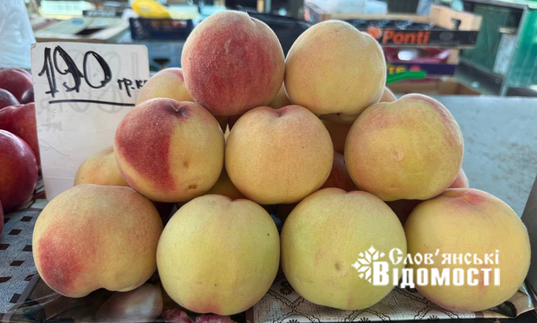 photo 5463159050477891954 y