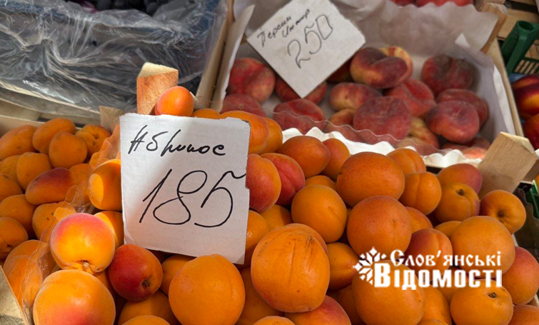 photo 5463159050477891986 y