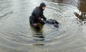 У Краматорському районі рятувальники дістали з водойми тіло чоловіка