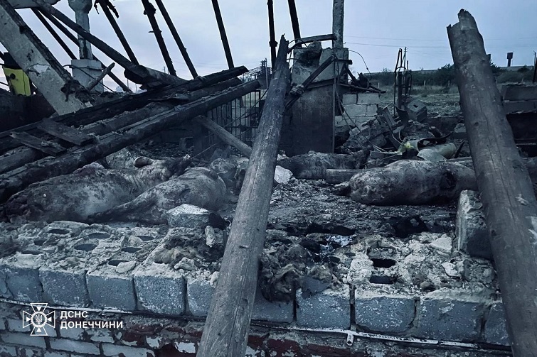 527901887 1180750854093651 4090926970766760132 n