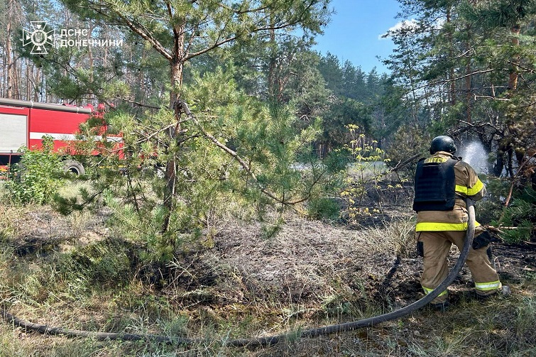 529799624 1180750964093640 3235708015020530197 n