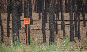 115 вибухонебезпечних предметів знешкодили рятувальники за останню добу