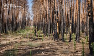 582 вибухонебезпечних предметів за тиждень виявили піротехніки Донеччини