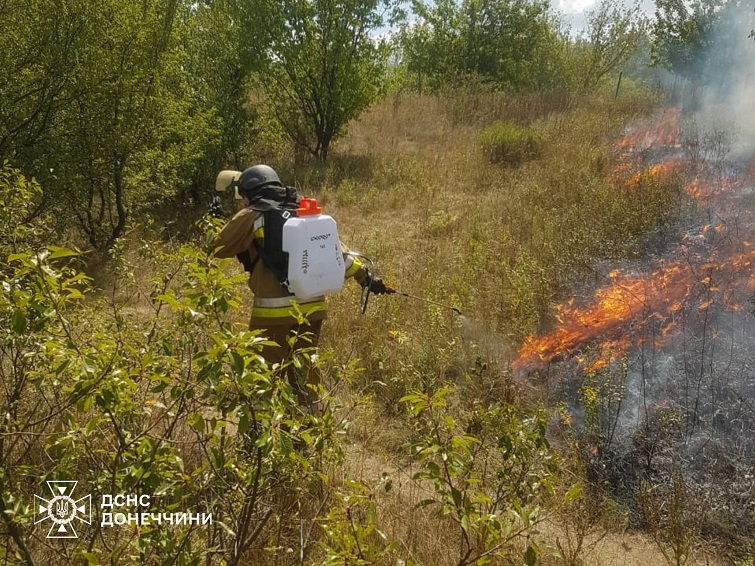 532623347 1184814990353904 716340627968467056 n