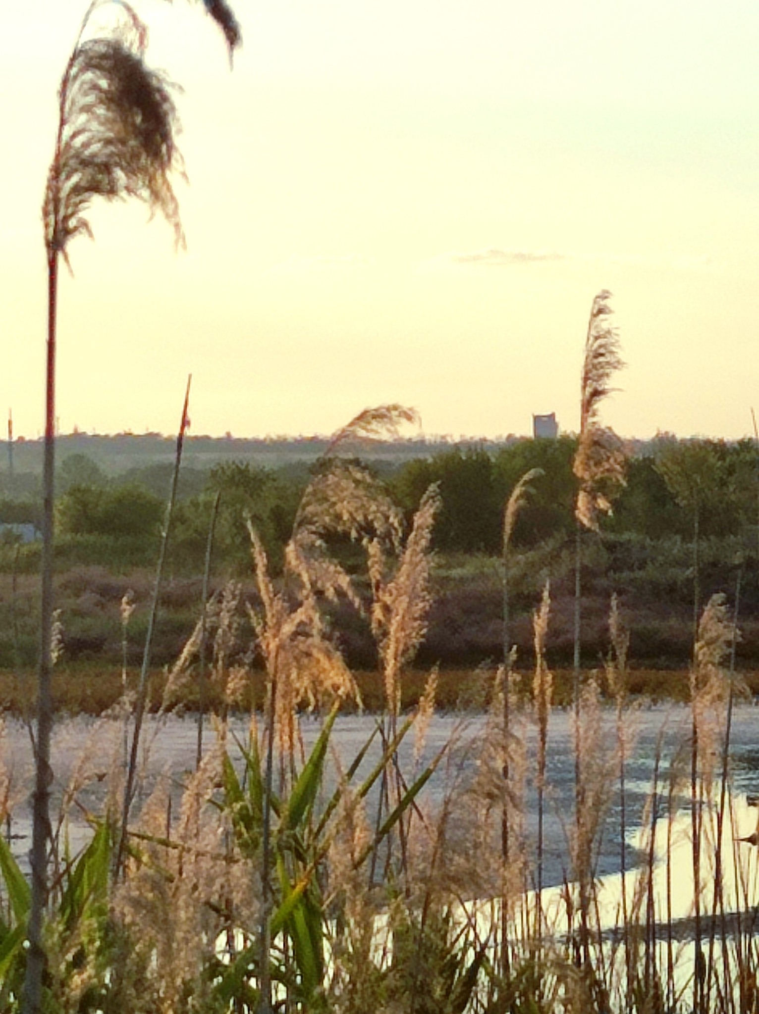 533406121 770226835698364 2487284553987361119 n