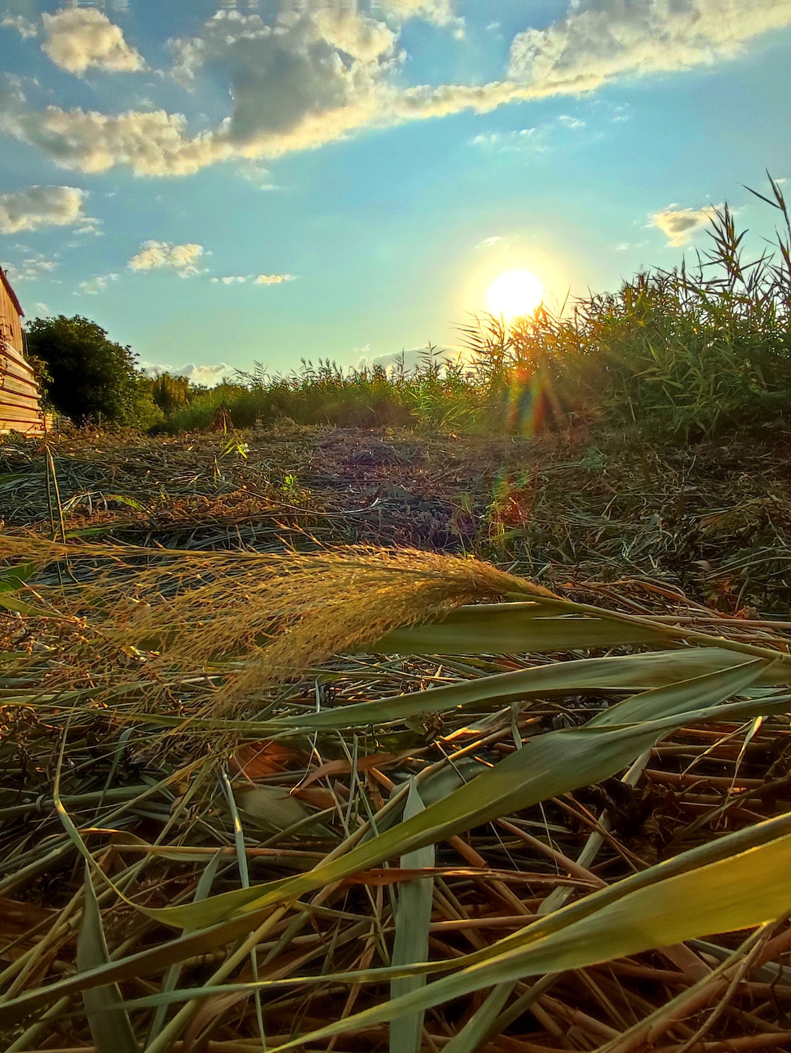 533988319 770226272365087 5441847907456973149 n