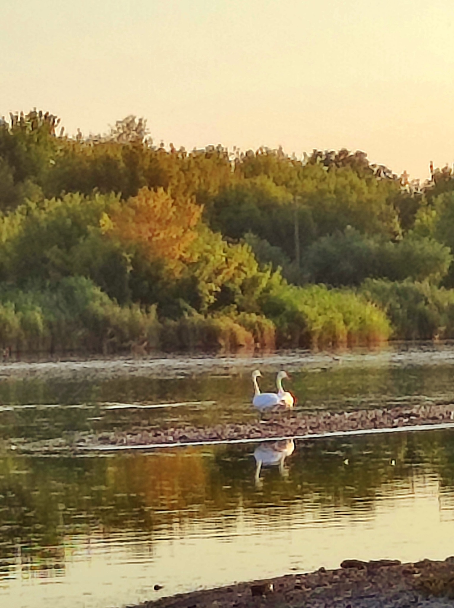 534085275 770226632365051 709978685185056425 n