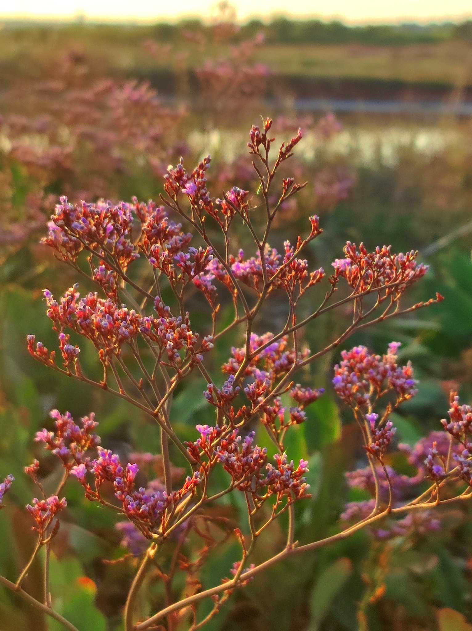 534597076 770226432365071 648631167873597053 n