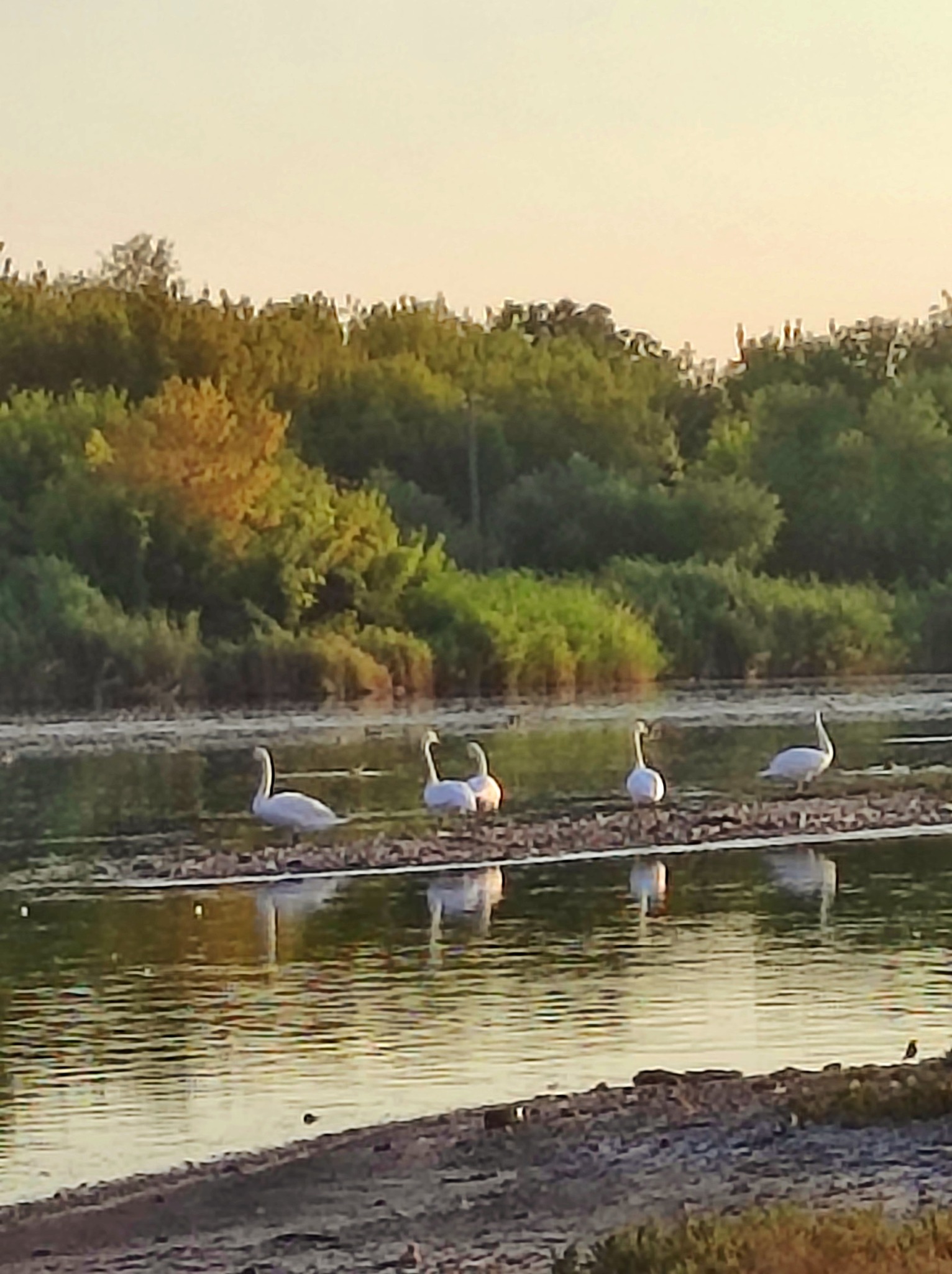 534905837 770226389031742 526851788702144526 n