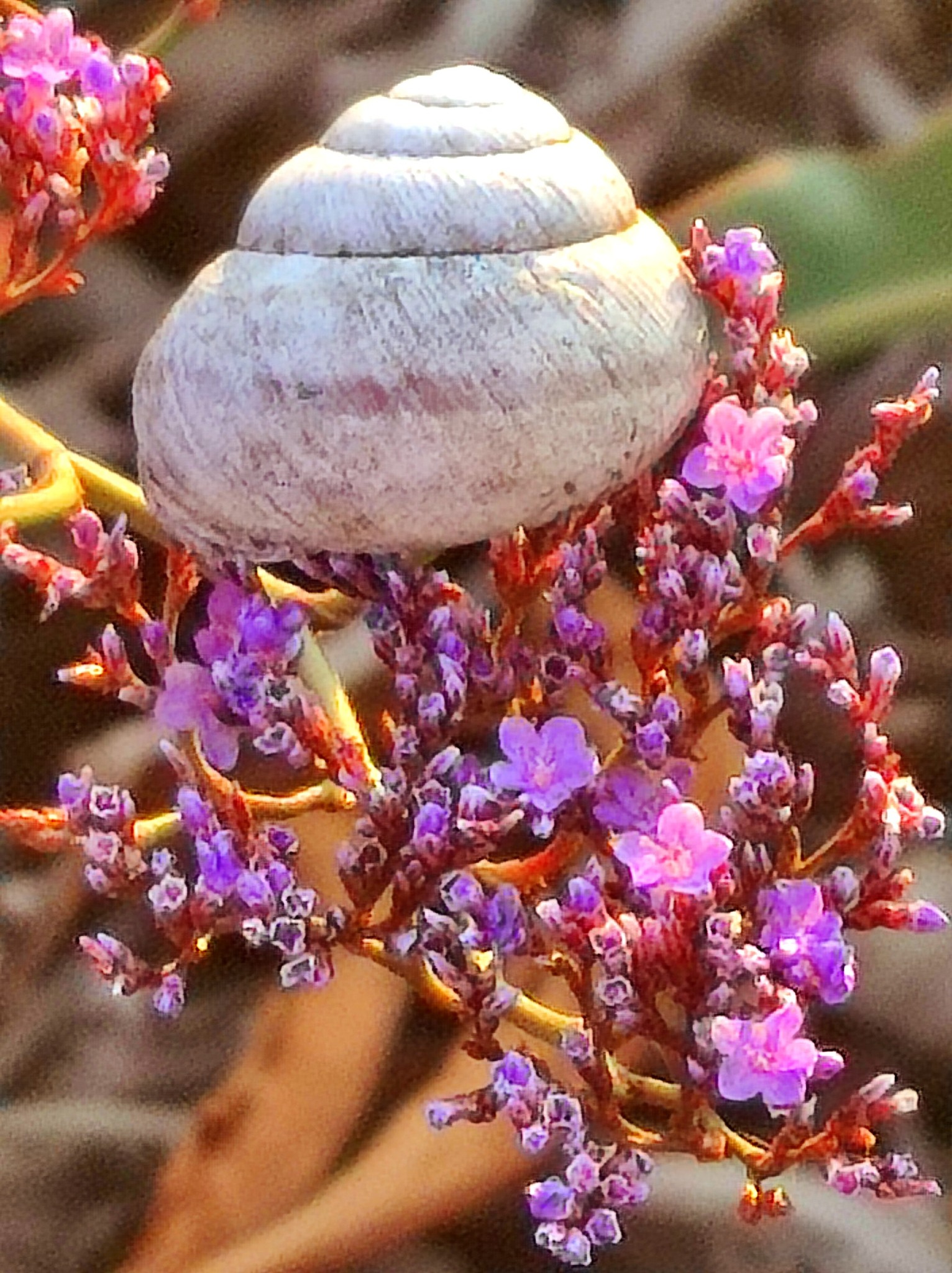 535130824 770226512365063 2938066130552125482 n