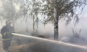 У Святогірській громаді горить ліс на 6 гектарах