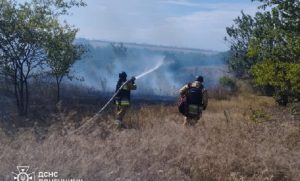 13 гектарів екосистем постраждали від вогню минулої доби