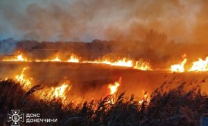 20 гектарів територій екосистем охопили пожежі на Донеччині