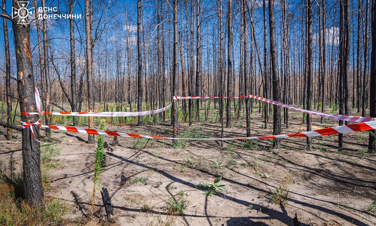 57 вибухонебезпечних предметів у Краматорському районі виявили за добу піротехніки
