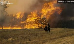 Рятувальники показали як вони гасили масштабну лісову пожежу у Лиманському лісі під обстрілами. Відео