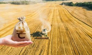 Аграрії, які працюють у прифронтових зонах, отримають субсидії 1 000 гривень за 1 га засіяних угідь