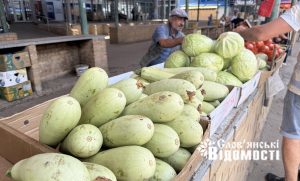 Ціни на Центральному ринку Слов’янська: огляд наприкінці серпня