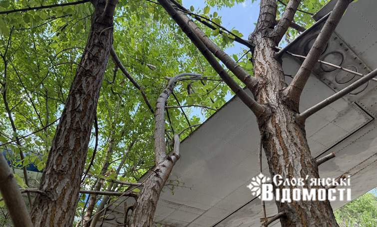 photo 2025 08 01 16 11 42 4