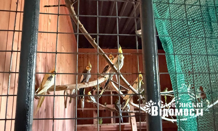 photo 2025 08 09 01 24 43