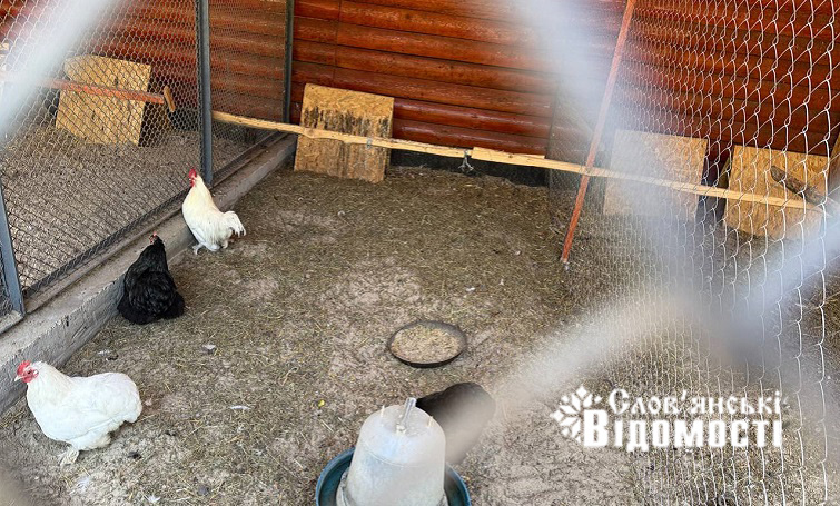 photo 2025 08 09 01 24 43 2