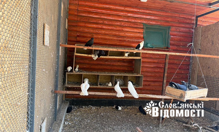 photo 2025 08 09 01 24 44