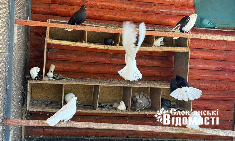 photo 2025 08 09 01 24 44 2