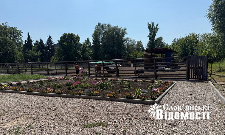 У зоопарку Слов’янська нові вольєри та літній майданчик для тварин: як зараз живе зоокуточок у парку «Шовковичний»