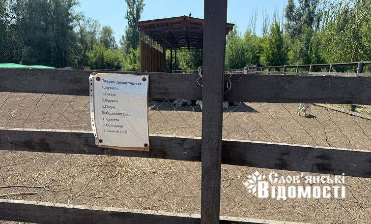 photo 2025 08 09 01 24 47 2