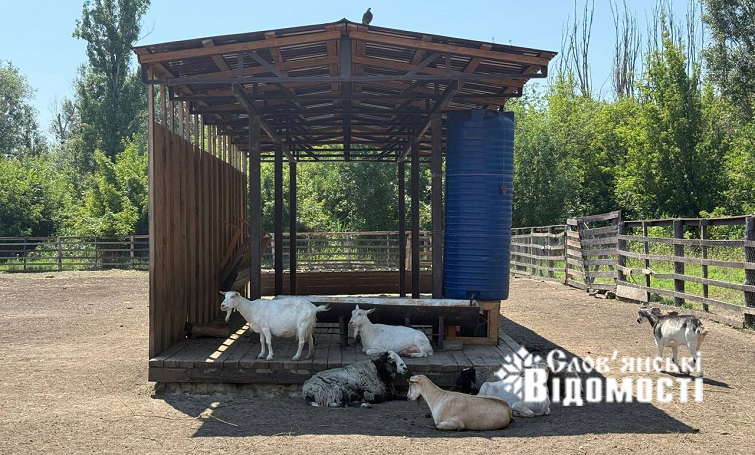 photo 2025 08 09 01 24 48