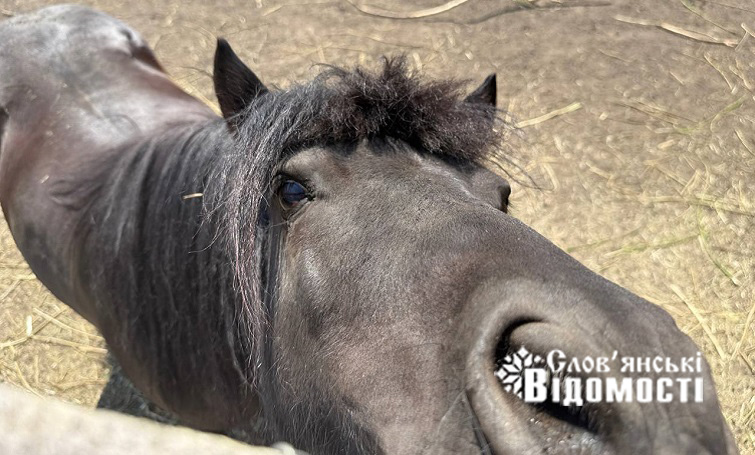 photo 2025 08 09 01 24 48 2