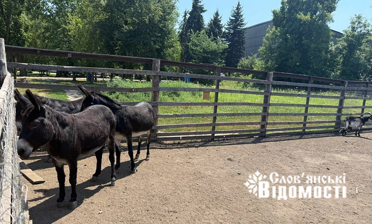 photo 2025 08 09 01 24 50