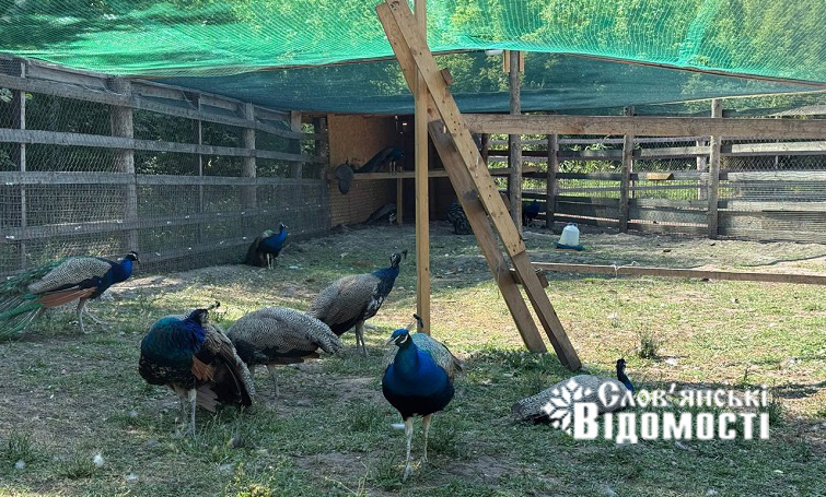 photo 2025 08 09 01 24 52