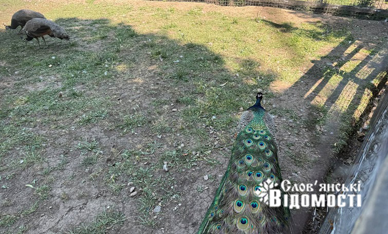 photo 2025 08 09 01 24 52 2