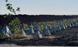 Сонях крізь колючий дріт (фото)