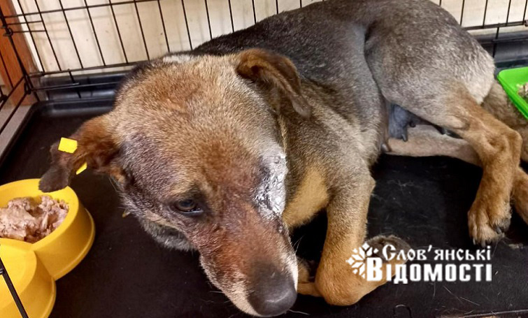 photo 2025 08 20 13 46 57