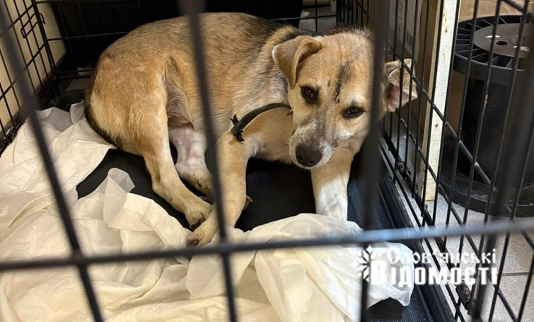 photo 2025 08 20 13 46 58