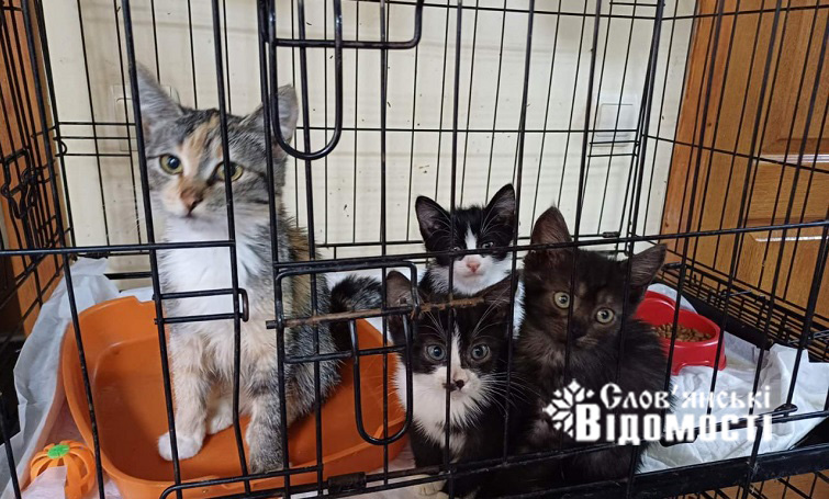 photo 2025 08 20 13 46 58 3