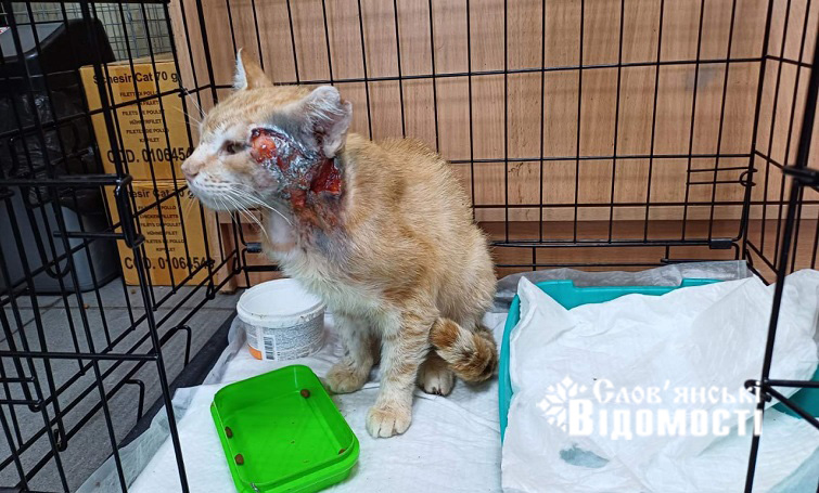 photo 2025 08 20 13 46 58 4