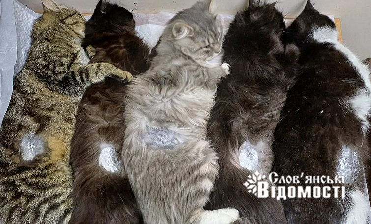 photo 2025 08 20 13 46 58 51