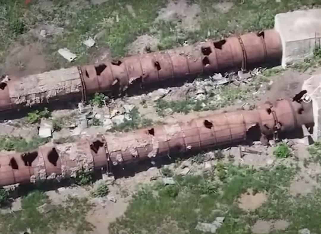 photo 5240144106288706869 y