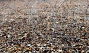 Краматорськ докуповує дротяні загородження для захисту